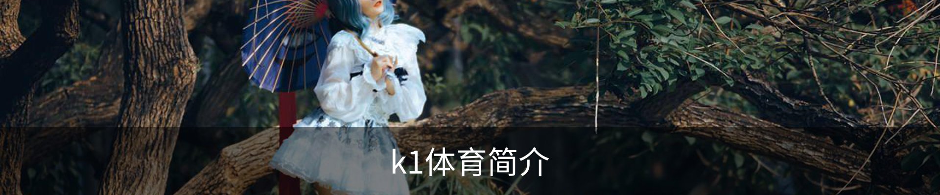 k1体育简介